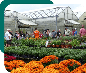 Green houses